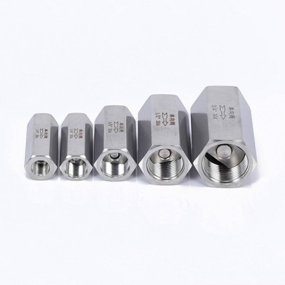 Stainless Steel 316/304 Air Check Valve High Pressure Hexagon Female Thread Non Return Valve